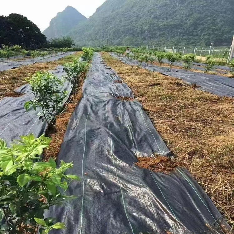 tynod anti-grass cloth