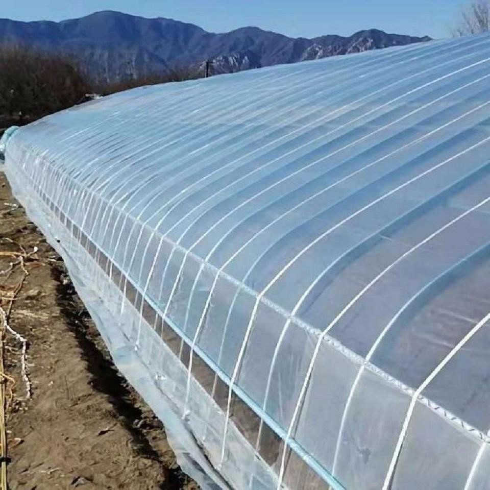 plastic film